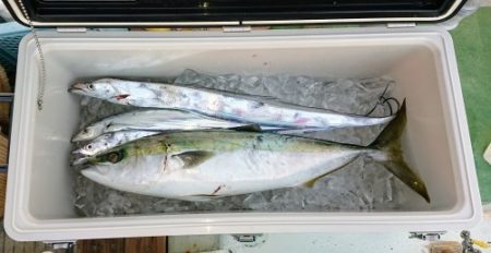 火遠理丸(ほおりまる) 釣果