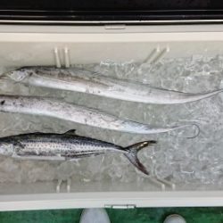 火遠理丸(ほおりまる) 釣果