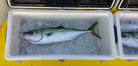 火遠理丸(ほおりまる) 釣果