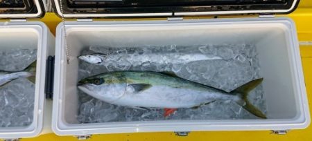 火遠理丸(ほおりまる) 釣果