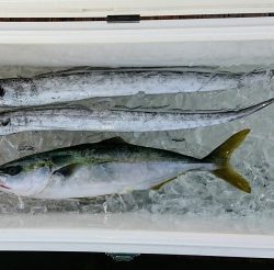 火遠理丸(ほおりまる) 釣果