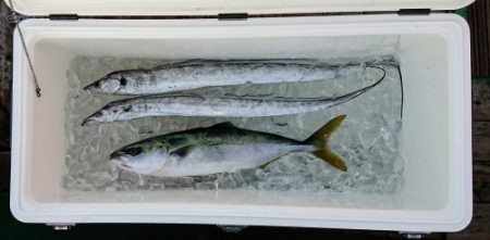 火遠理丸(ほおりまる) 釣果