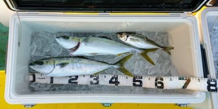 火遠理丸（ほおりまる） 釣果