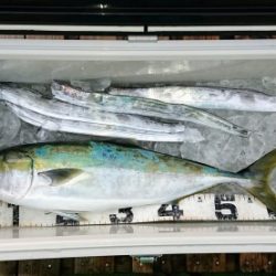 火遠理丸(ほおりまる) 釣果