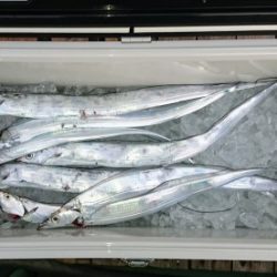 火遠理丸(ほおりまる) 釣果