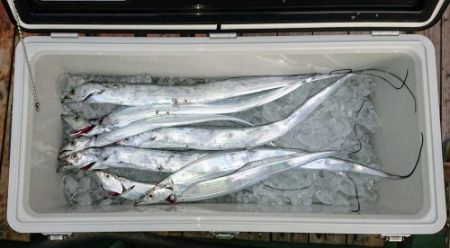 火遠理丸(ほおりまる) 釣果