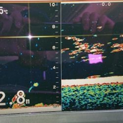 火遠理丸(ほおりまる) 釣果