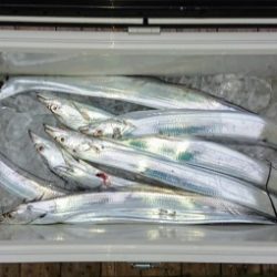 火遠理丸（ほおりまる） 釣果