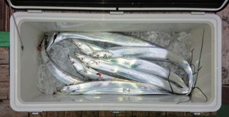 火遠理丸（ほおりまる） 釣果