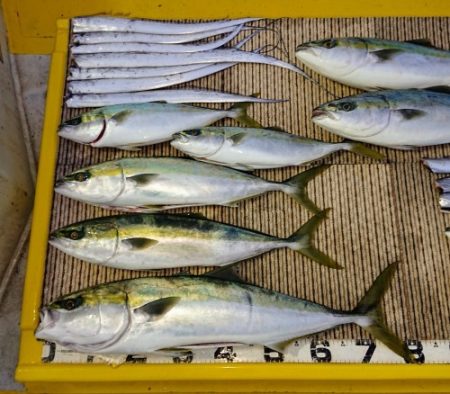 火遠理丸（ほおりまる） 釣果