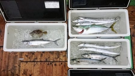 火遠理丸（ほおりまる） 釣果