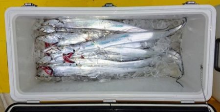 火遠理丸(ほおりまる) 釣果