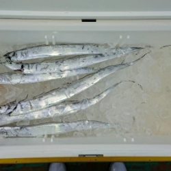 火遠理丸(ほおりまる) 釣果