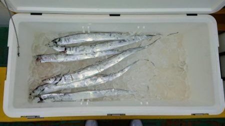 火遠理丸(ほおりまる) 釣果
