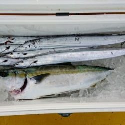 火遠理丸(ほおりまる) 釣果