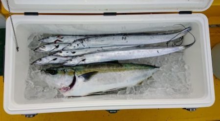 火遠理丸（ほおりまる） 釣果