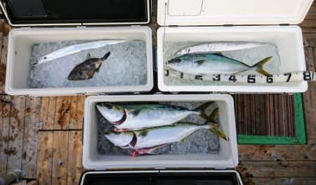 火遠理丸（ほおりまる） 釣果