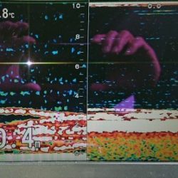 火遠理丸(ほおりまる) 釣果