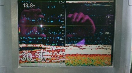 火遠理丸(ほおりまる) 釣果