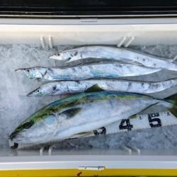 火遠理丸（ほおりまる） 釣果