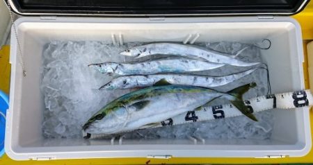 火遠理丸（ほおりまる） 釣果