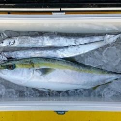 火遠理丸（ほおりまる） 釣果