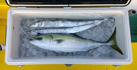 火遠理丸（ほおりまる） 釣果