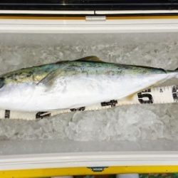 火遠理丸(ほおりまる) 釣果