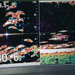 火遠理丸(ほおりまる) 釣果