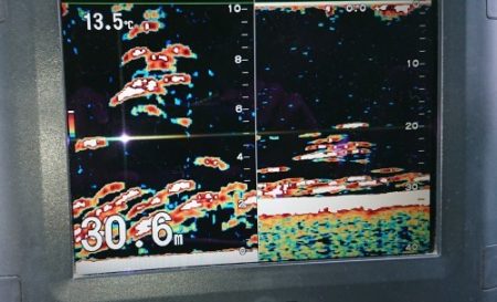 火遠理丸(ほおりまる) 釣果