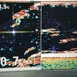 火遠理丸(ほおりまる) 釣果