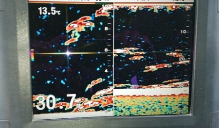 火遠理丸(ほおりまる) 釣果