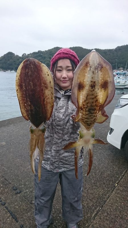 筏マルキ 釣果