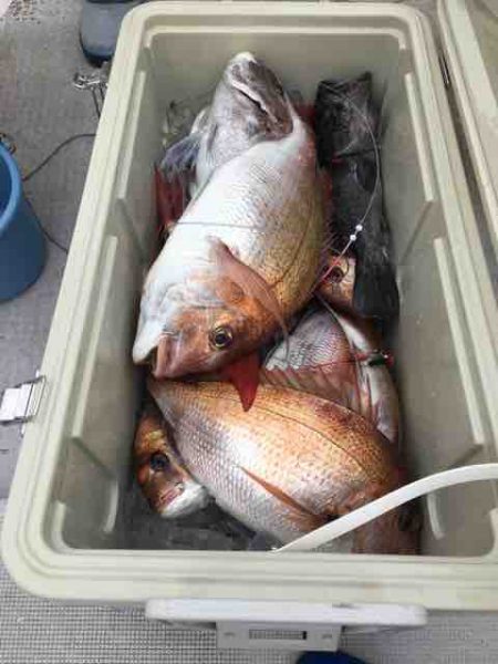 龍宮丸 釣果
