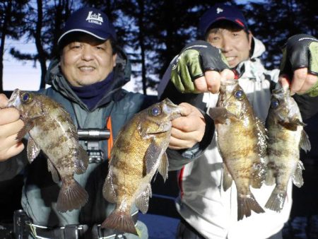 TOPGUN名古屋 釣果