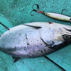 広進丸 釣果