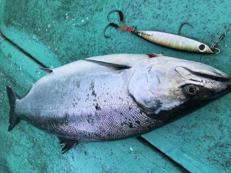 広進丸 釣果