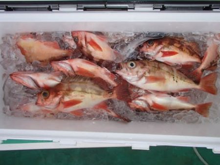 第二むつ漁丸 釣果