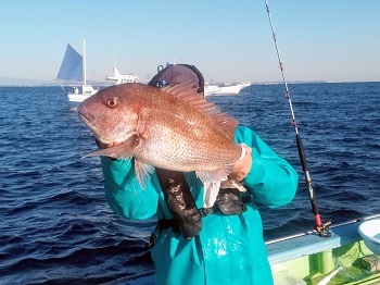 利八丸 釣果