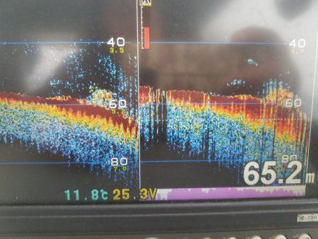 遊漁船 ニライカナイ 釣果