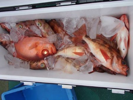 第二むつ漁丸 釣果