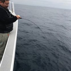 へいみつ丸 釣果