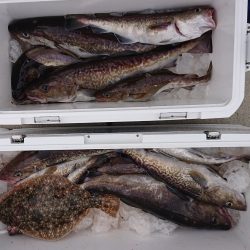 気仙沼　つり丸 釣果