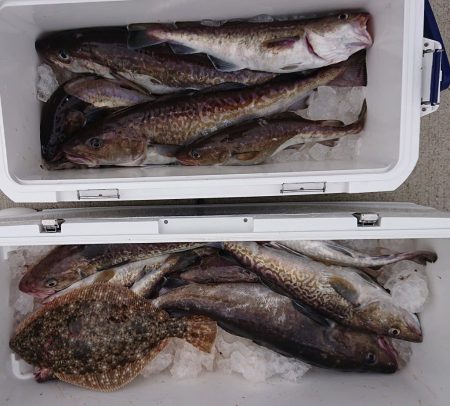 気仙沼　つり丸 釣果