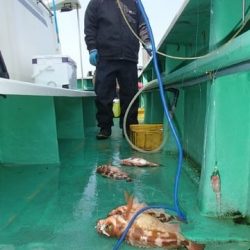 第二むつ漁丸 釣果