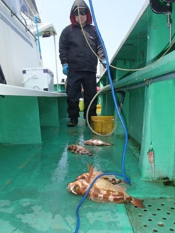 第二むつ漁丸 釣果