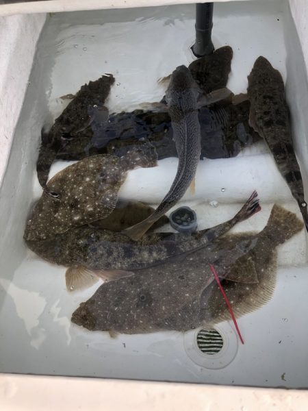 Magic(マジック) 釣果