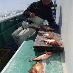 第二むつ漁丸 釣果