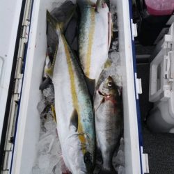 第二大福丸 釣果