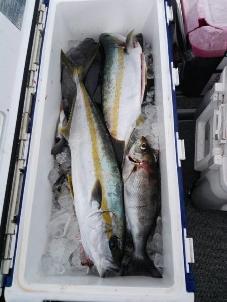 第二大福丸 釣果